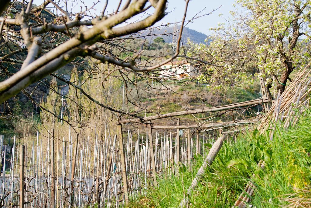 Family House Levanto Room photo
